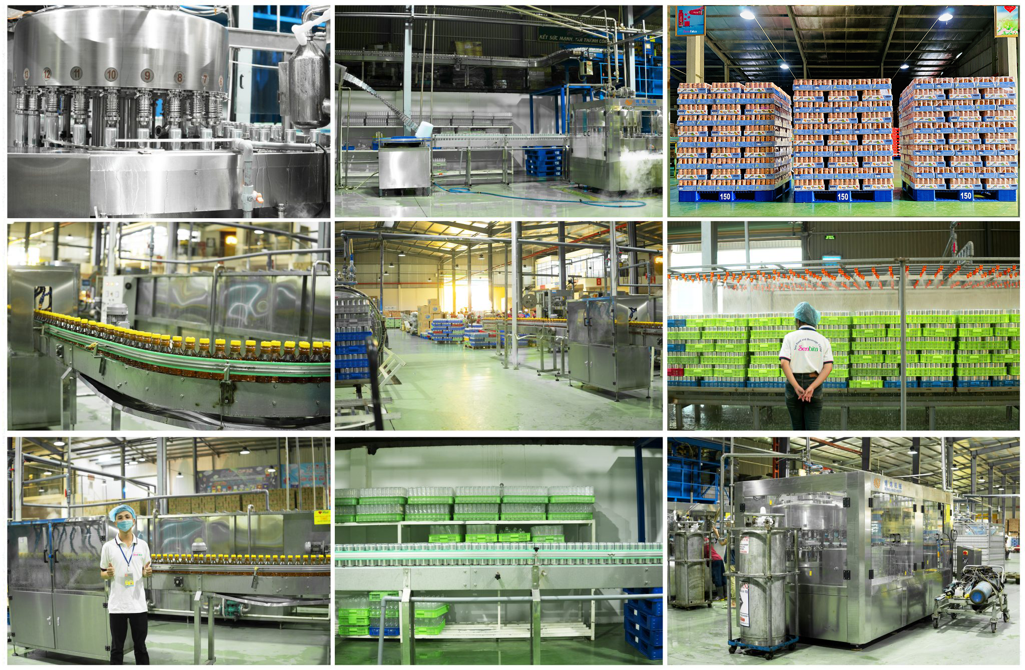 Vietnam's Lychee Season: A Perfect Time to Launch Your Private Label Lychee Beverage 3 OEM & ODM beverage manufacturer