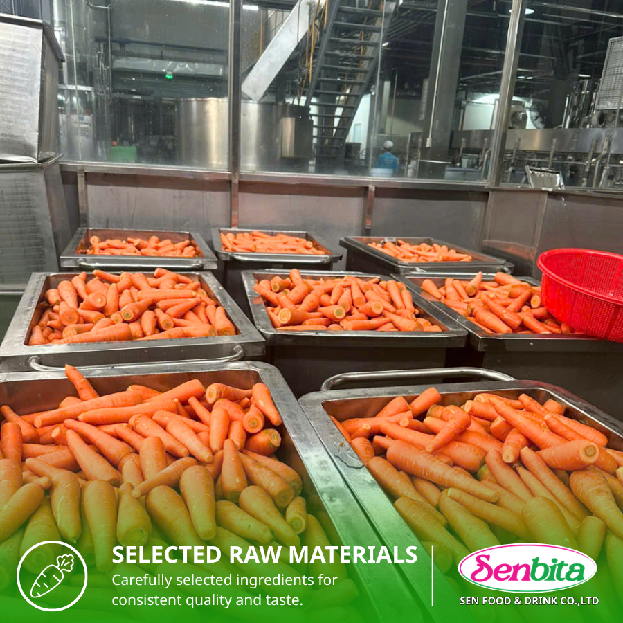 Carrot Juice Manufacturing in Vietnam: OEM, ODM & Private Label Solutions for Global Markets 2 Carrot Juice Manufacturer