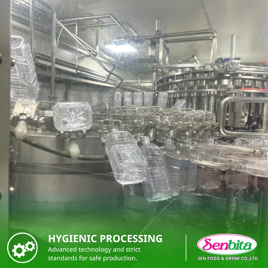 Carrot Juice Manufacturing in Vietnam: OEM, ODM & Private Label Solutions for Global Markets 4 Carrot Juice Manufacturer