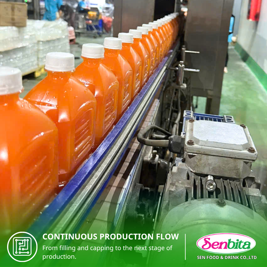 Carrot Juice Manufacturing in Vietnam: OEM, ODM & Private Label Solutions for Global Markets 7 Carrot Juice Manufacturer