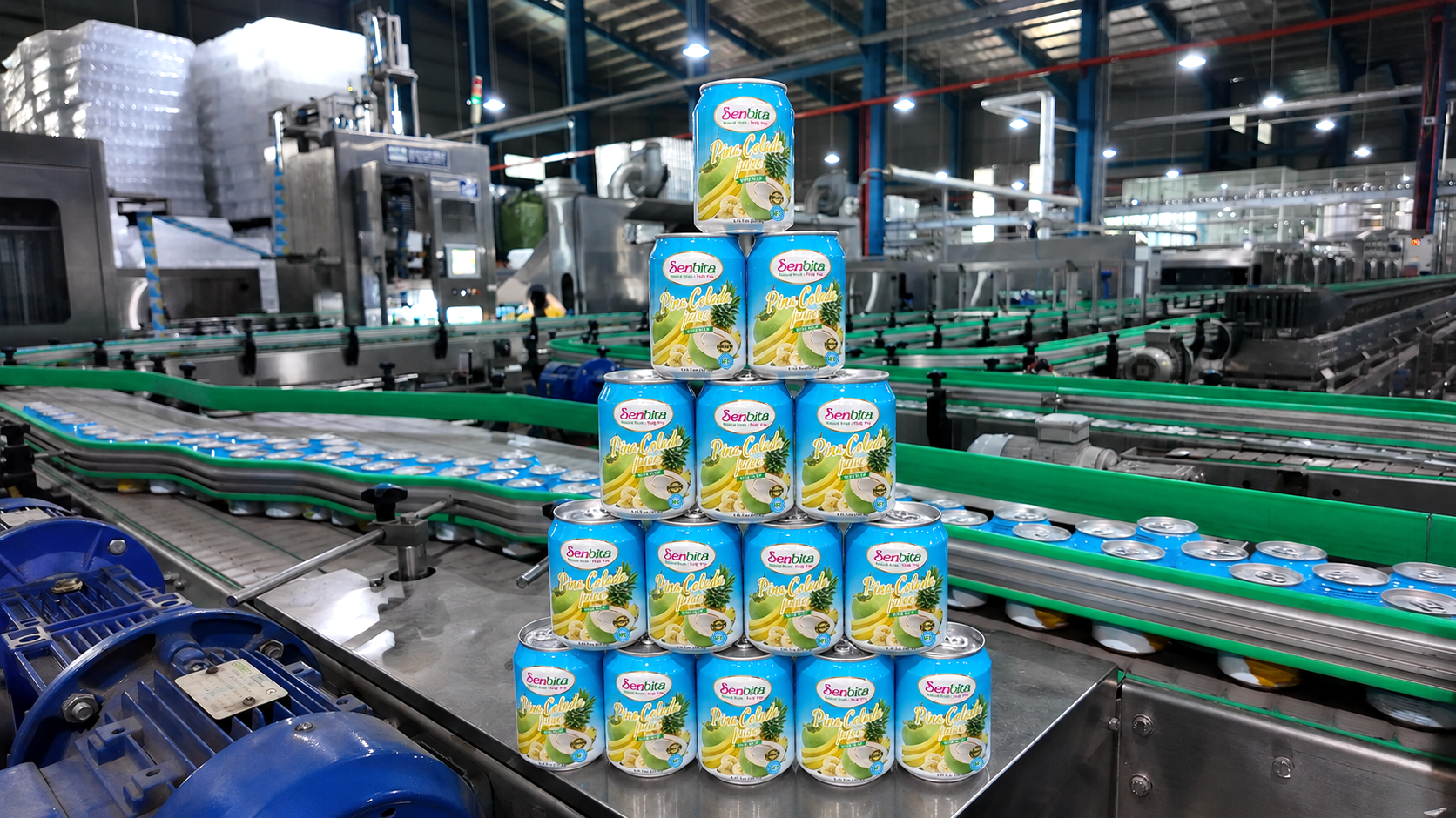 HOME 56 Pina Colada Juice with Pulp Manufacturer