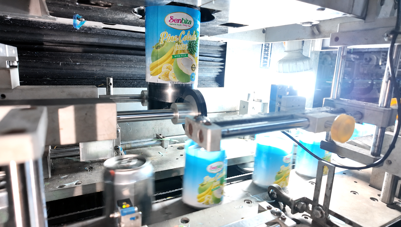 Pina Colada Juice with Pulp Manufacturer