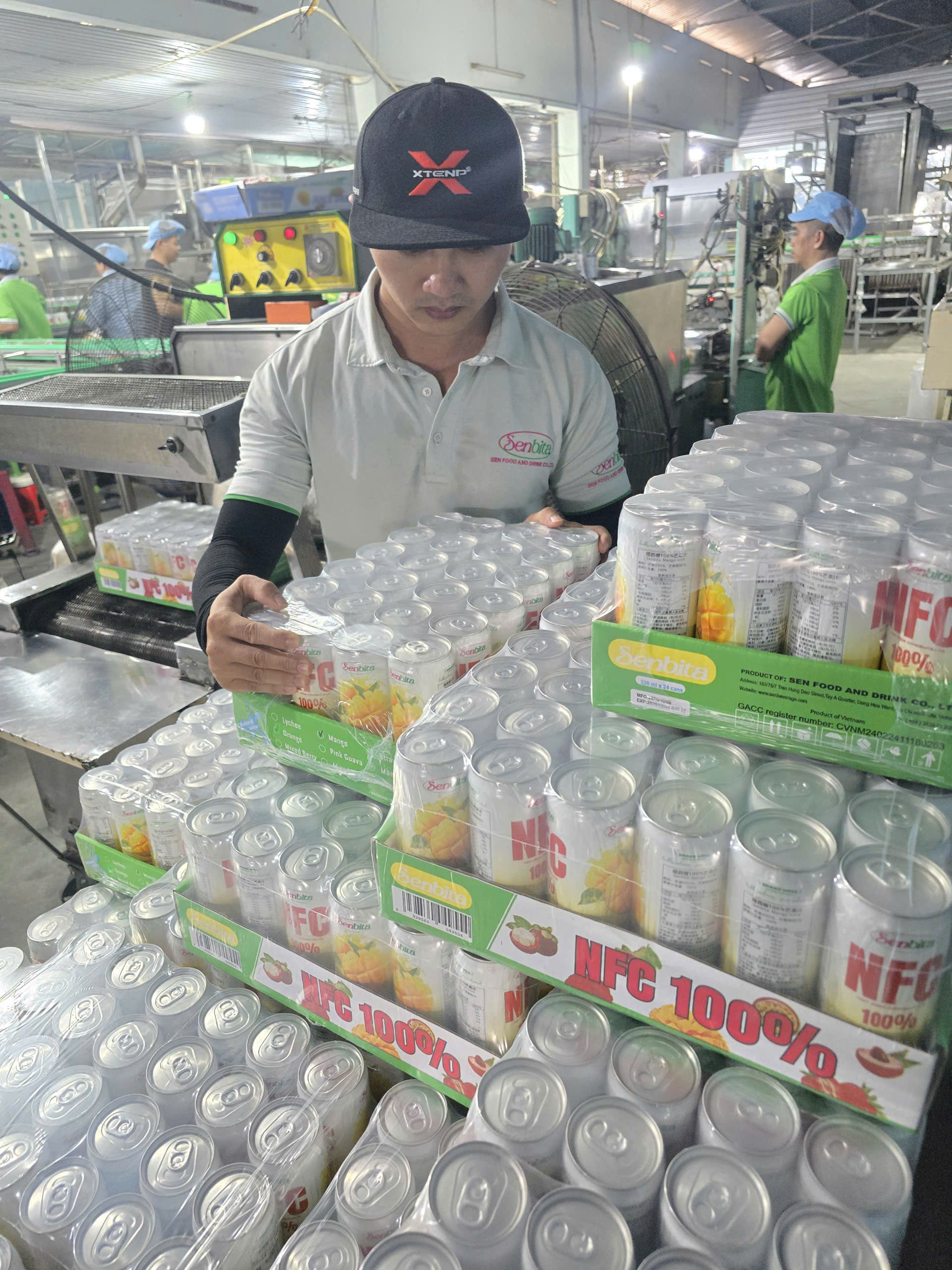 From Our Factory to the World: SENBITA’s Commitment to Quality Beverage Manufacturing 5 beverage manufacturer in Vietnam