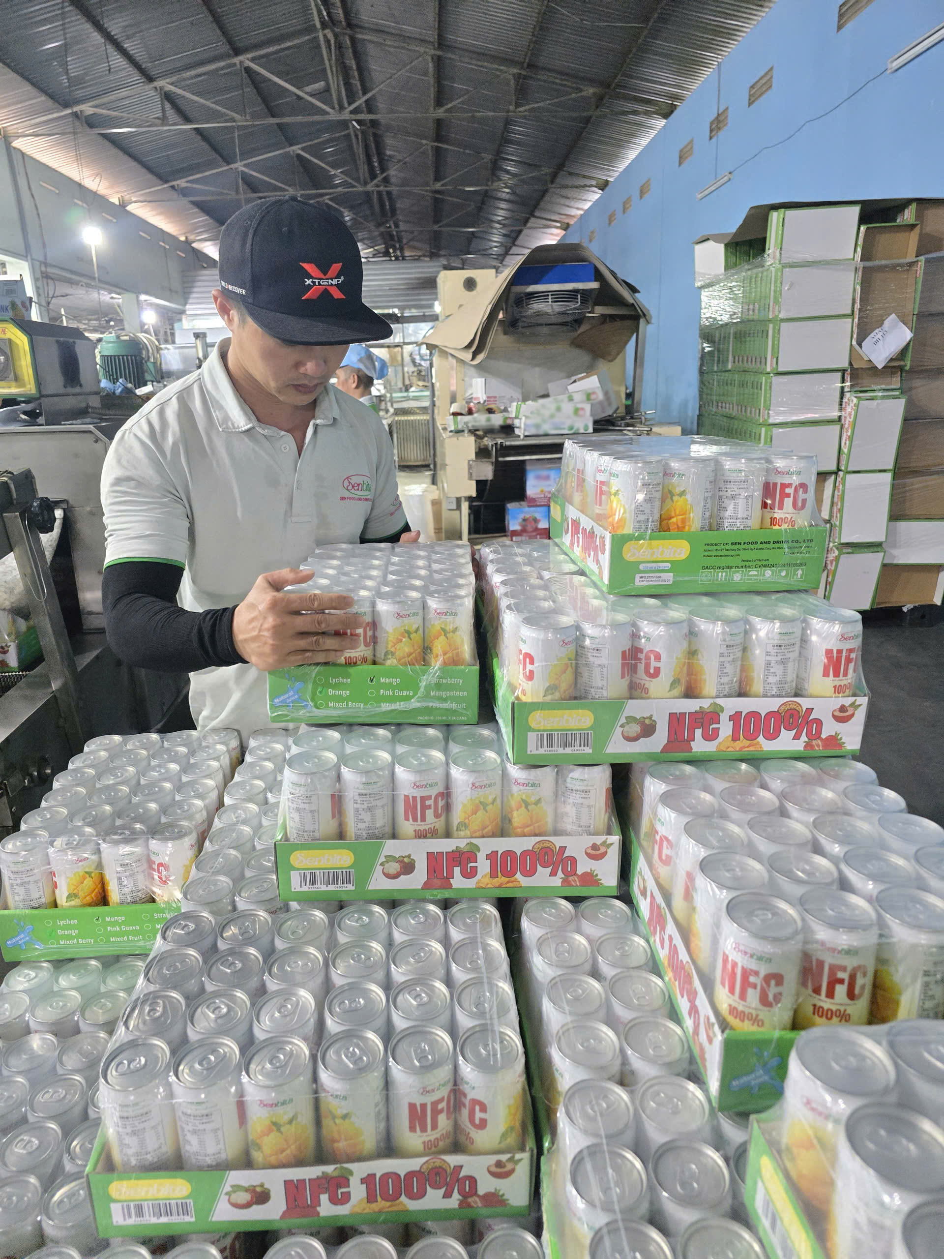 From Our Factory to the World: SENBITA’s Commitment to Quality Beverage Manufacturing 3 beverage manufacturer in Vietnam